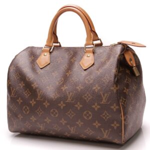 Louis Vuitton Speedy 30 Bag - Monogram