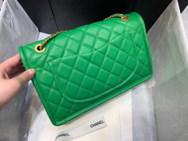 SC - Luxury Bag - CHL - 1255 - Image 8