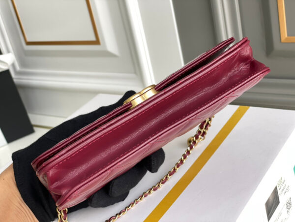 SC - Luxury Bag - CHL - 1210 - Image 6