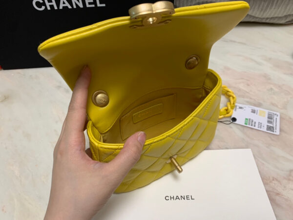 SC - Luxury Bag - CHL - 1000 - Image 5
