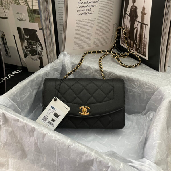 SC - Luxury Bag - CHL - 143 - Image 9