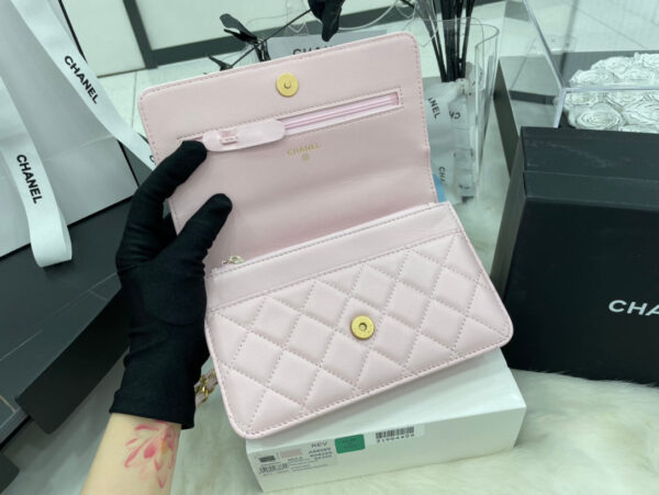 SC - Luxury Bag - CHL - 498 - Image 6