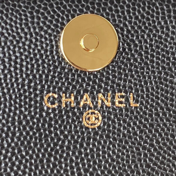 SC - Luxury Bag - CHL - 543 - Image 7
