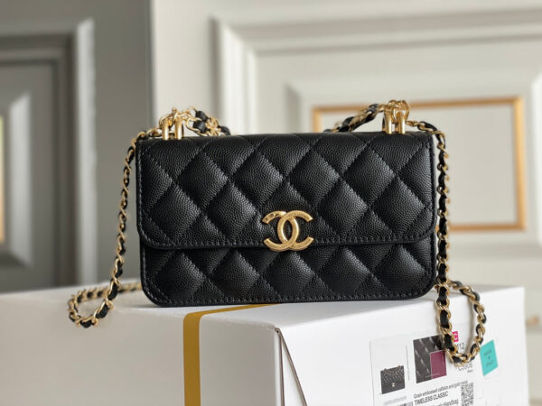 SC - Luxury Bag - CHL - 455 - Image 9