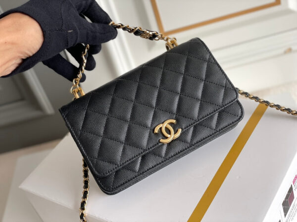 SC - Luxury Bag - CHL - 458 - Image 2