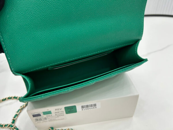 SC - Luxury Bag - CHL - 319 - Image 5