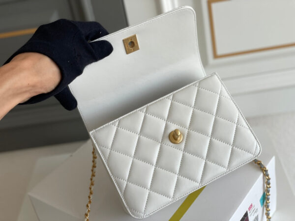 SC - Luxury Bag - CHL - 256 - Image 6