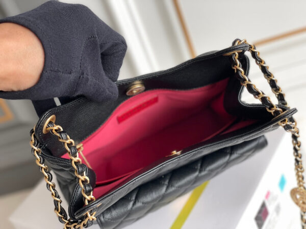SC - Luxury Bag - CHL - 196 - Image 7