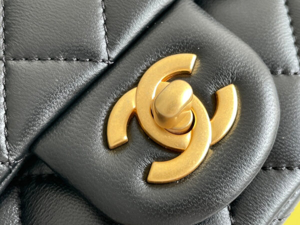 SC - Luxury Bag - CHL - 070 - Image 4