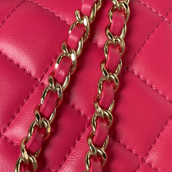 SC - Luxury Bag - CHL - 122 - Image 5