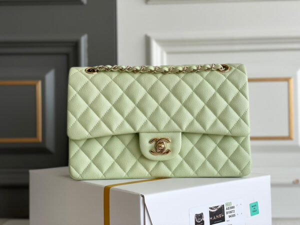SC - Luxury Bag - CHL - 071 - Image 9